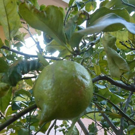 Il Giardino Del Corso Lejlighed Avola Eksteriør billede