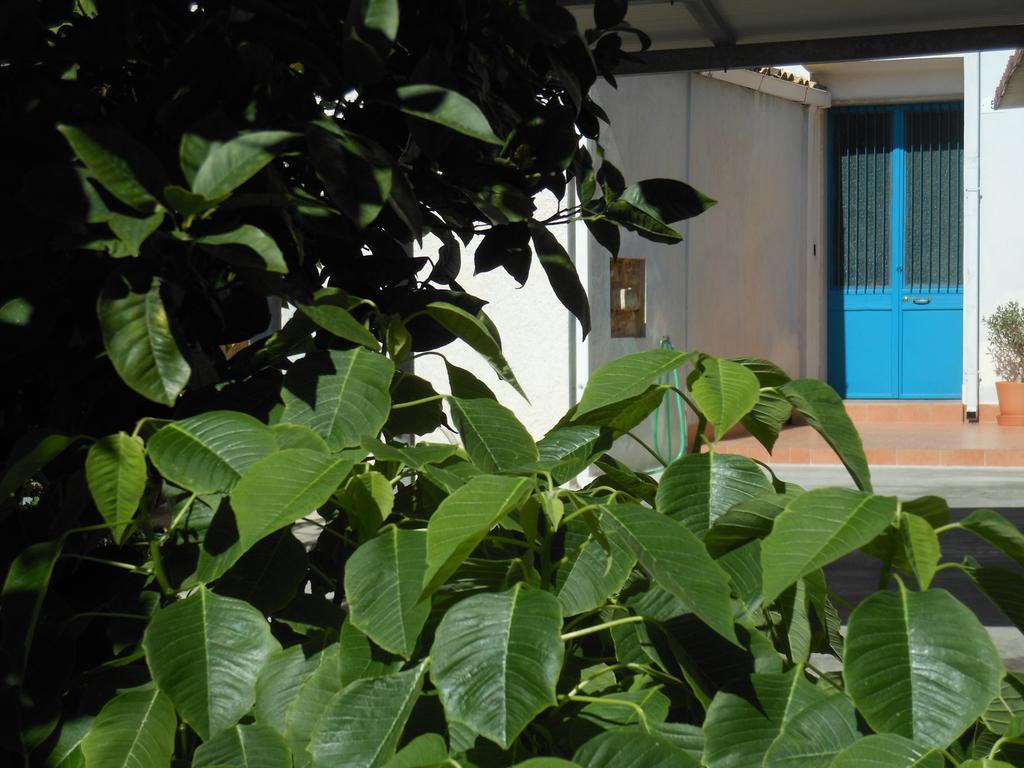 Il Giardino Del Corso Lejlighed Avola Værelse billede